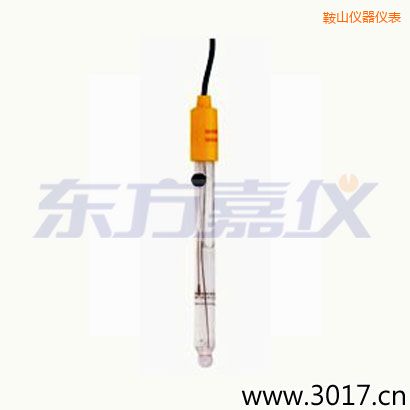 鞍山可填充玻璃管電極