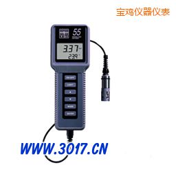 寶雞溶解氧、溫度測量儀