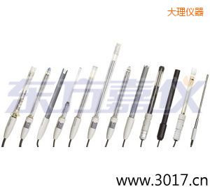 大理離子選擇性電極