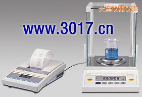 大連BT系列精密天平,4200g,10mg