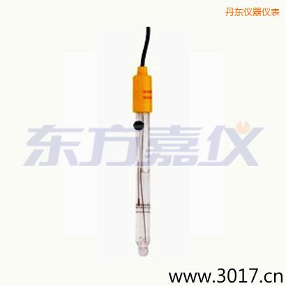 丹東可填充玻璃管電極