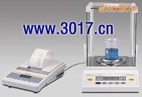 貴陽(yáng)BT系列精密天平,120g,0.1mg