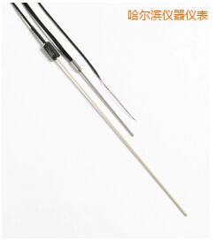 哈爾濱R 型和 S 型標準熱電偶