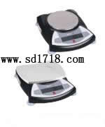 吉林便攜式天平,3000g,0.1g