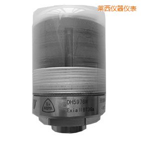 萊西無(wú)線(xiàn)軸承狀態(tài)監(jiān)測(cè)器