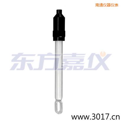 南通無溫補兩線電導(dǎo)率電極