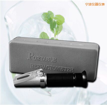 寧波手持式食鹽/鹽度快速測(cè)定儀