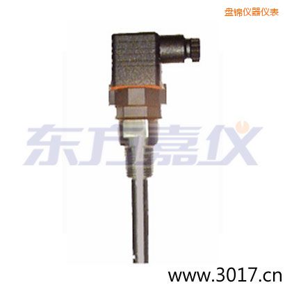 盤(pán)錦含有溫度的兩線(xiàn)電導(dǎo)率電極