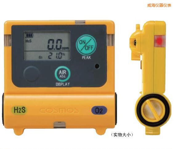 威海復(fù)合型氣體檢測器