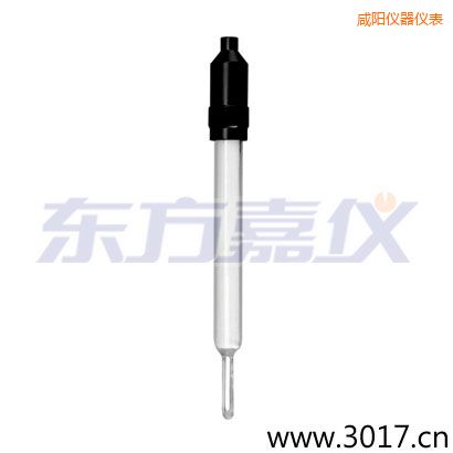 咸陽玻璃外殼無溫補(bǔ)兩線電導(dǎo)率電極