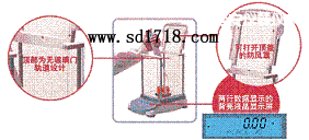 延安先進型天平,51g,0.001g