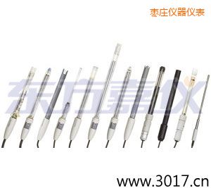 棗莊pH電極