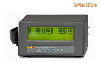 諸城四通道便攜式測(cè)溫儀